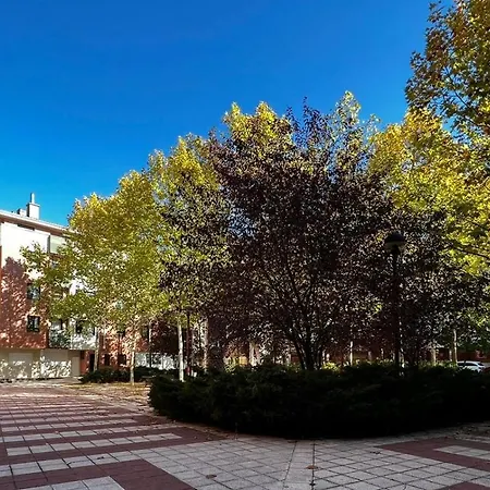 Apto Con Garaje Admite Mascotas * バリャドリド