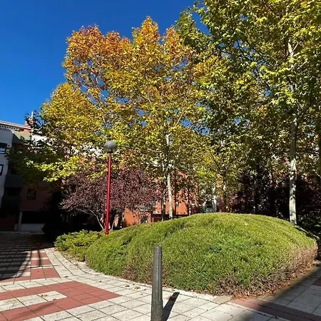 アパート Apto Con Garaje Admite Mascotas *